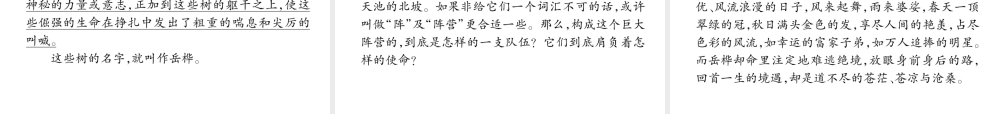 （遵义专版）九年级语文下册 1 白杨礼赞课件 语文版-语文版初中九年级下册语文课件