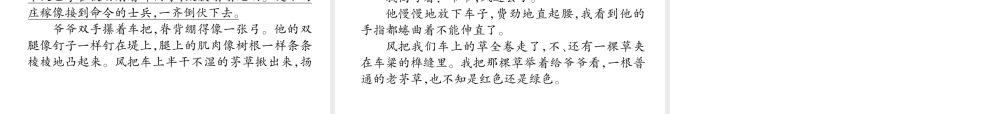 （遵义专版）九年级语文下册 14 讲故事的人课件 语文版-语文版初中九年级下册语文课件