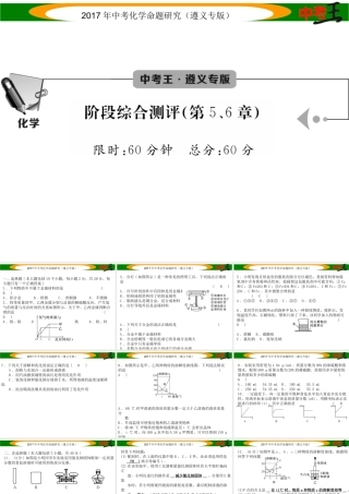 （遵义专版）中考化学命题研究 阶段综合测评（第5-6章）课件-人教版初中九年级全册化学课件