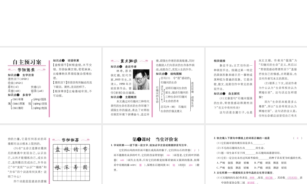 （遵义专版）九年级语文下册 第一单元 2 石缝间的生命课件 语文版-语文版初中九年级下册语文课件