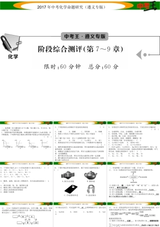 （遵义专版）中考化学命题研究 阶段综合测评（第7-9章）课件-人教版初中九年级全册化学课件