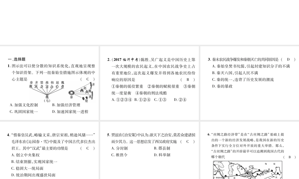 （遵义专版）中考历史总复习 第1编 教材知识梳理篇 第1讲 大一统的秦汉帝国（精练）课件-人教版初中九年级全册历史课件