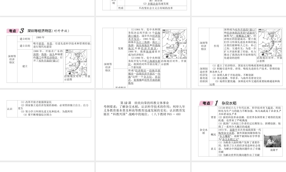 （遵义专版）中考历史总复习 第1编 教材知识梳理篇 第10讲 建设中国特色社会主义（精讲）课件-人教版初中九年级全册历史课件