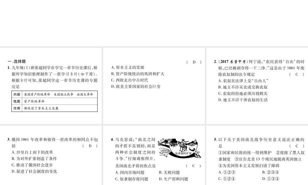 （遵义专版）中考历史总复习 第1编 教材知识梳理篇 第13讲 近代社会的发展与终结（精练）课件-人教版初中九年级全册历史课件