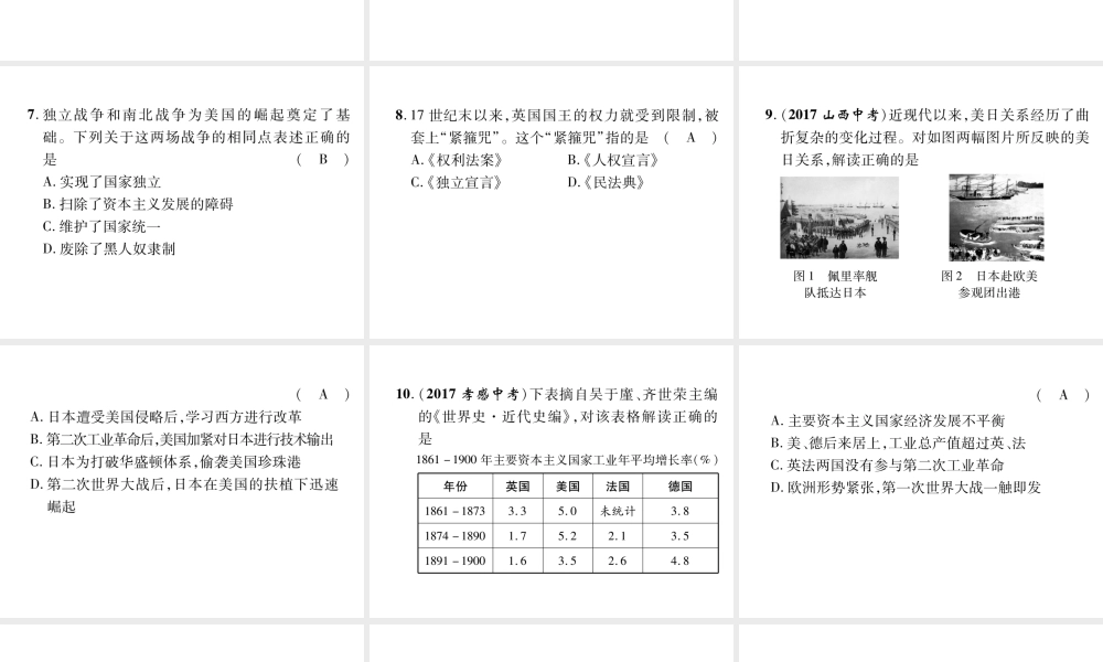（遵义专版）中考历史总复习 第2编 热点专题速查篇 专题6 主要资本主义国家的发展历程（精练）课件-人教版初中九年级全册历史课件