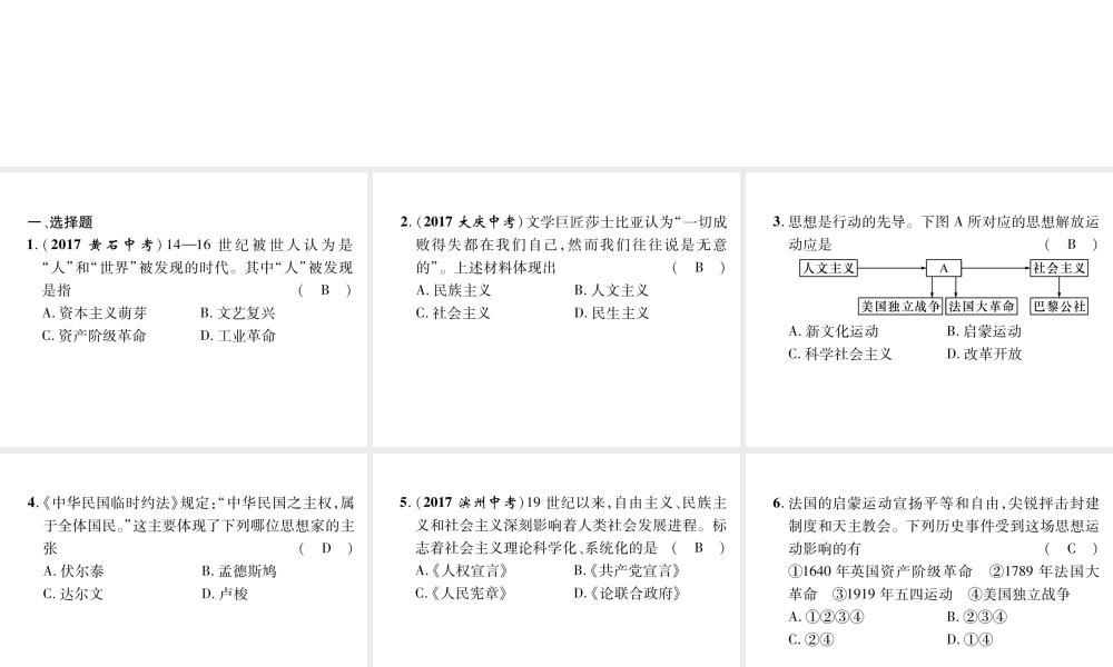 （遵义专版）中考历史总复习 第2编 热点专题速查篇 专题8 近代化的思想解放运动（精练）课件-人教版初中九年级全册历史课件