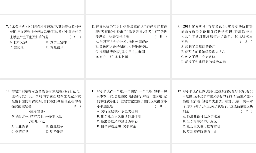 （遵义专版）中考历史总复习 第2编 热点专题速查篇 专题8 近代化的思想解放运动（精练）课件-人教版初中九年级全册历史课件