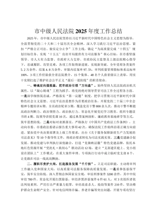 市中级人民法院2025年度工作总结