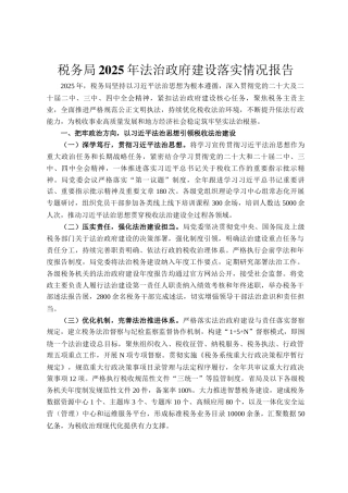 税务局2025年法治政府建设落实情况报告