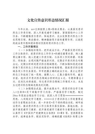文化宣传意识形态情况汇报
