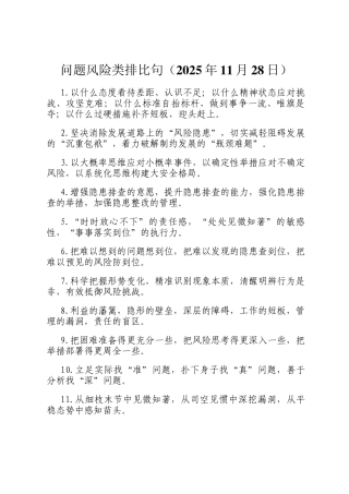 问题风险类排比句（2025年11月28日）