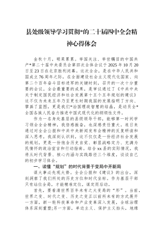 县处级领导学习贯彻党的二十届四中全会精神心得体会