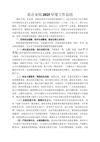 县公安局2025年度工作总结