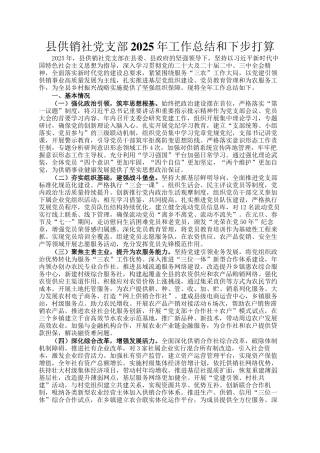 县供销社党支部2025年工作总结和下步打算