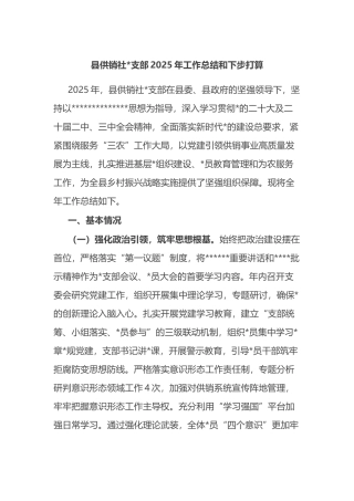 县供销社党支部2025年工作总结和下步打算计划