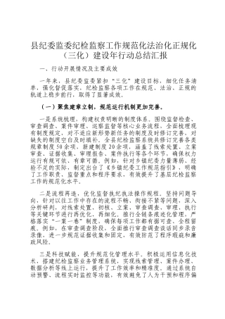 县纪委监委纪检监察工作规范化法治化正规化（三化）建设年行动总结汇报