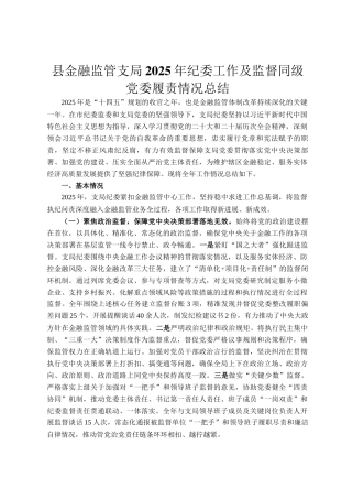 县金融监管支局2025年纪委工作及监督同级党委履责情况总结