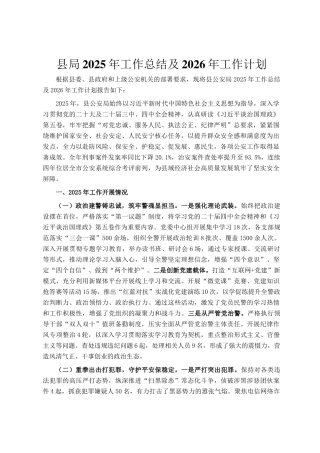 县局2025年工作总结及2026年工作计划