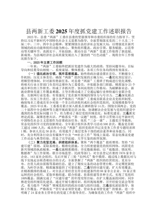 县两新工委2025年度抓党建工作述职报告