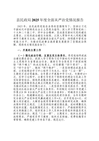 县民政局2025年度全面从严治党情况报告