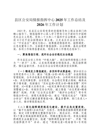 县区公安局情报指挥中心2025年工作总结及2026年工作计划