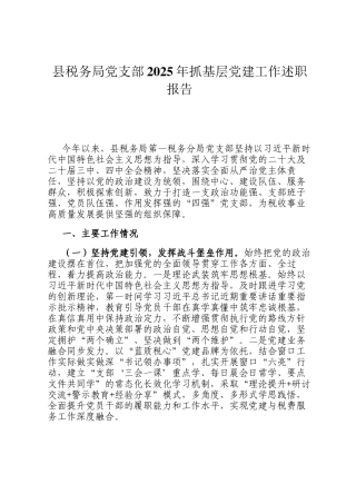 县税务局党支部2025年抓基层党建工作述职报告