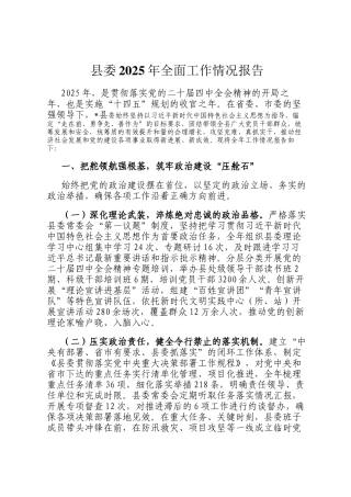县委2025年全面工作情况报告