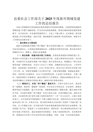 县委社会工作部关于2025年度新兴领域党建工作的总结报告