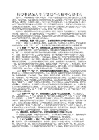 县委书记深入学习贯彻全会精神心得体会