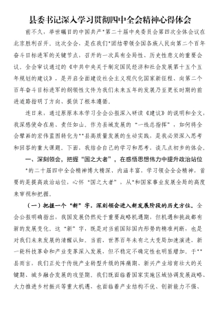 县委书记深入学习贯彻四中全会精神心得体会