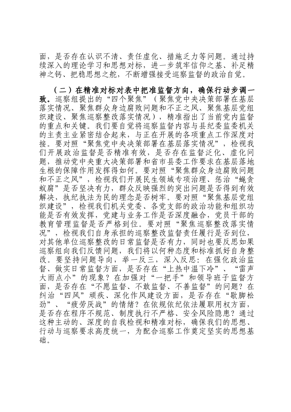 县委巡察组巡察县纪委监委机关工作动员会表态发言_第3页
