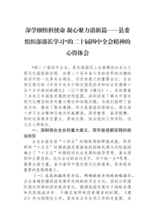 县委组织部部长学习党的二十届四中全会精神的心得体会