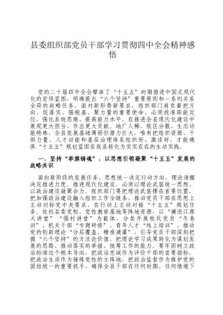 县委组织部党员干部学习贯彻四中全会精神感悟