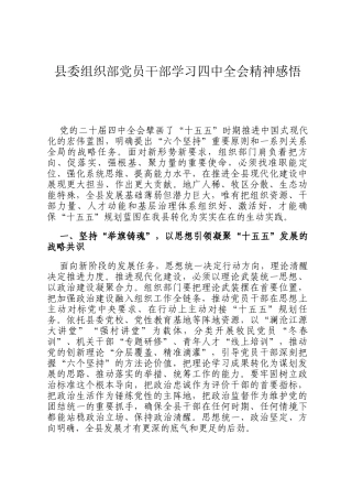 县委组织部党员干部学习四中全会精神感悟