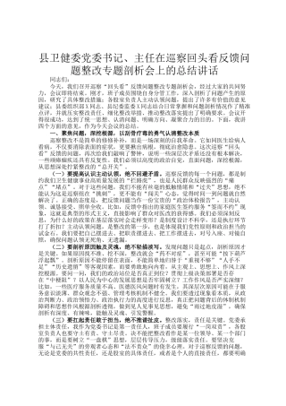 县卫健委党委书记、主任在巡察回头看反馈问题整改专题剖析会上的总结讲话