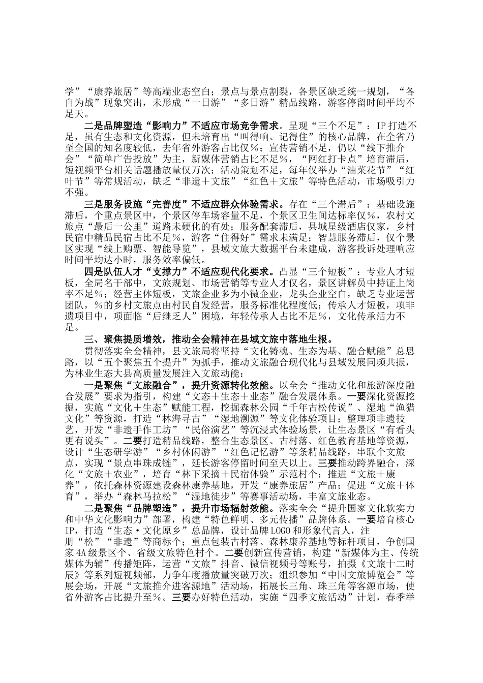 县文旅局局长学习全会精神研讨发言_第2页