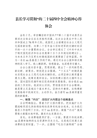 县长学习贯彻党的二十届四中全会精神心得体会