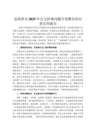 县政府办2025年公文抄袭问题专项整治的自查自纠报告