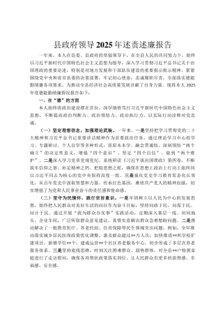 县政府领导2025年述责述廉报告