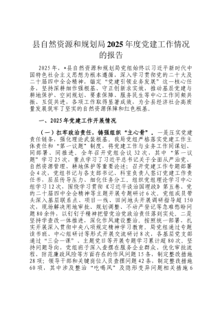 县自然资源和规划局2025年度党建工作情况的报告