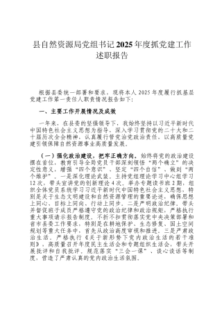 县自然资源局党组书记2025年度抓党建工作述职报告