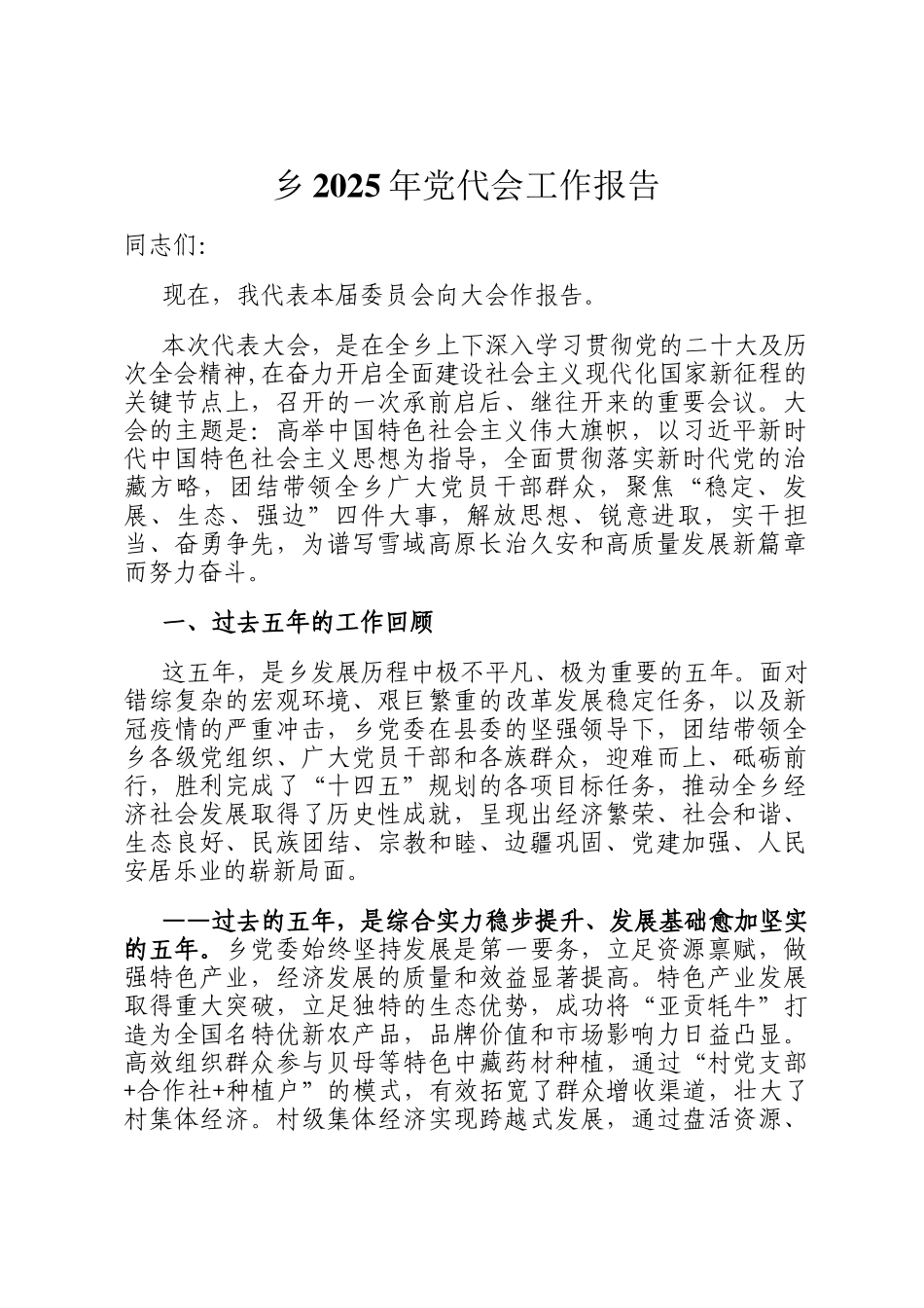 乡2025年党代会工作报告_第1页