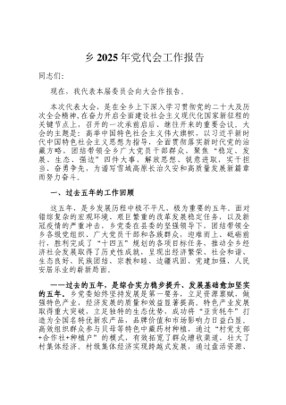 乡2025年党代会工作报告