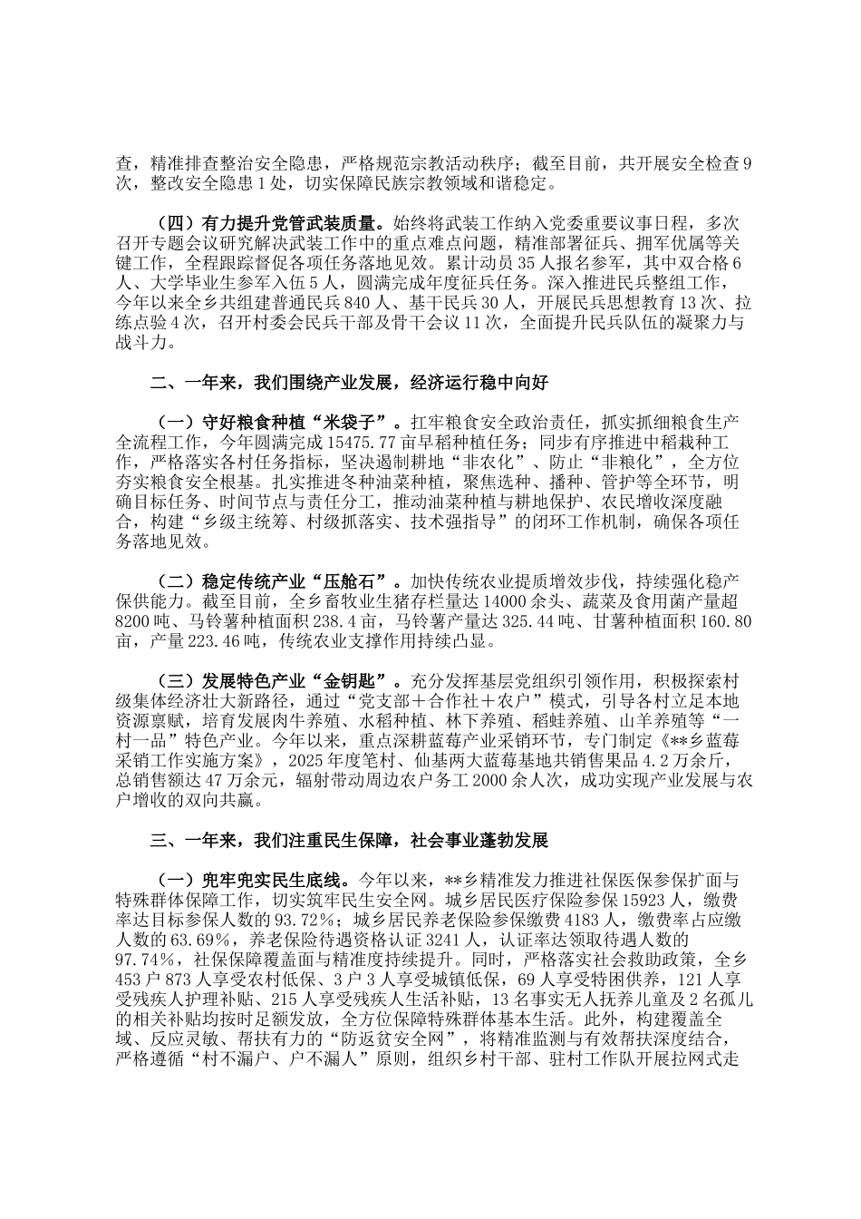 乡2025年工作总结及2026年工作计划_第2页