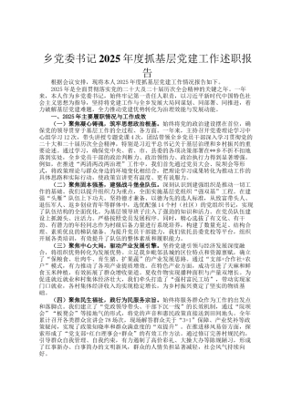 乡党委书记2025年度抓基层党建工作述职报告