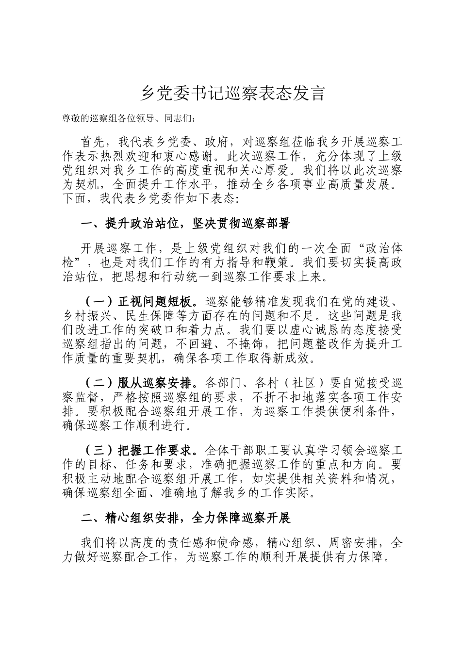 乡党委书记巡察表态发言_第1页