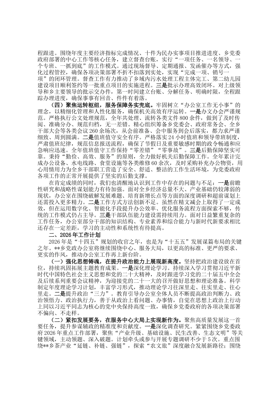 乡党政办公室2025年工作总结及2026年工作计划_第2页