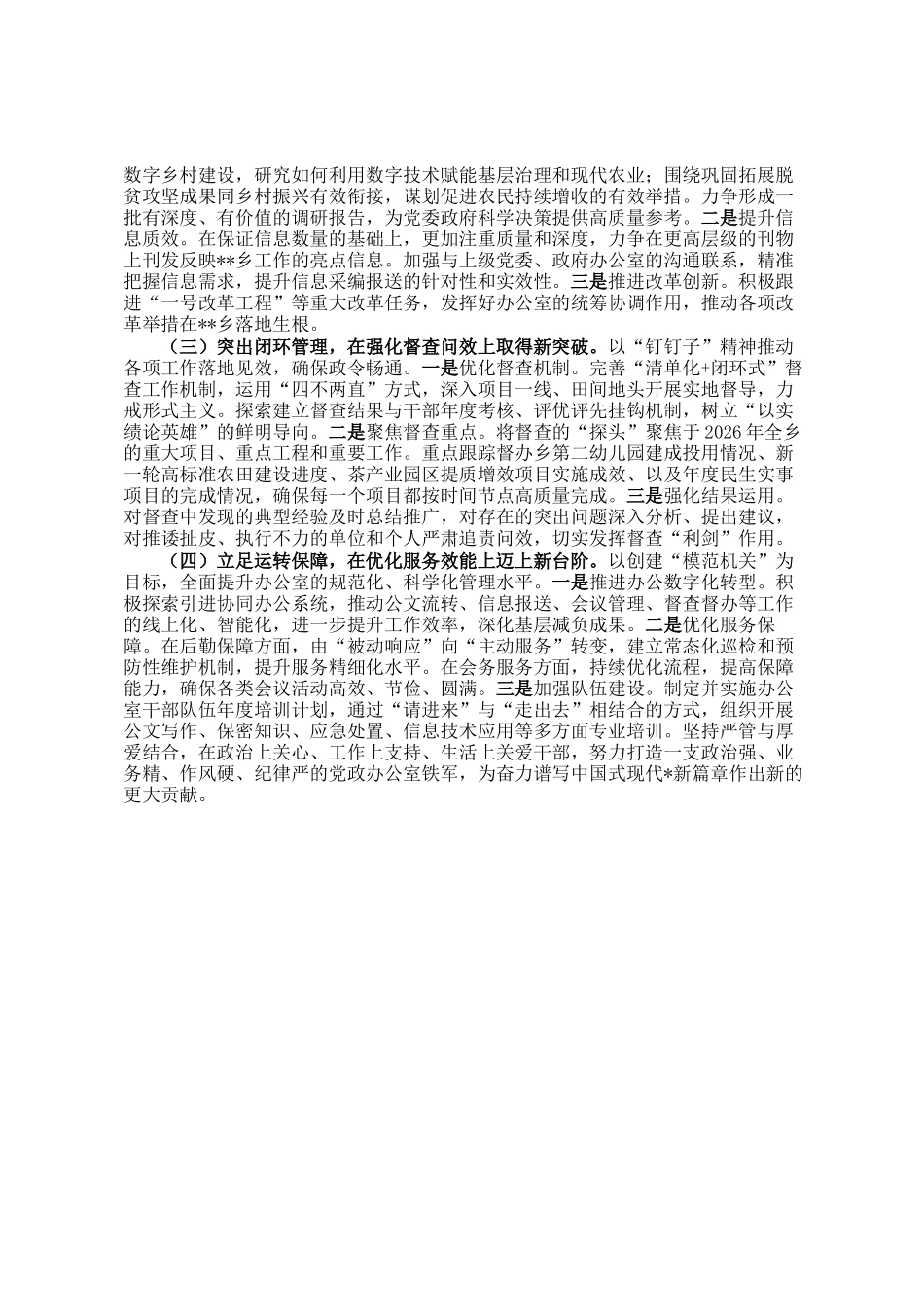 乡党政办公室2025年工作总结及2026年工作计划_第3页