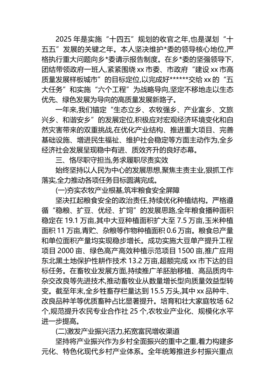 乡长2025年度个人述职述廉报告_第2页