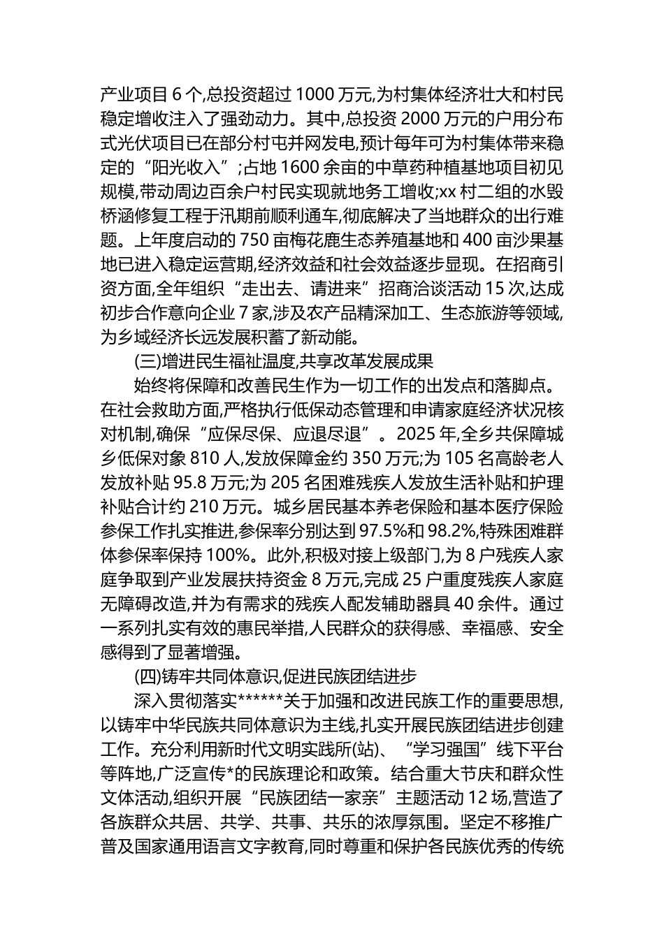 乡长2025年度个人述职述廉报告_第3页